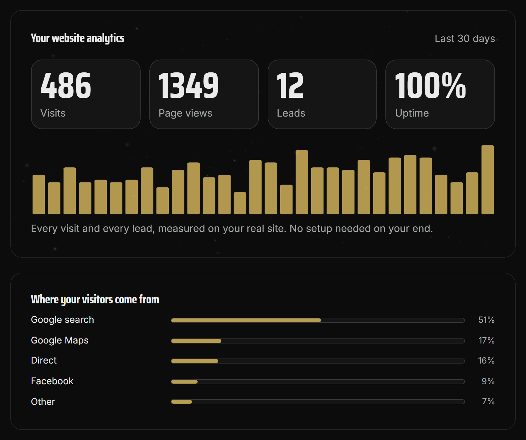 The analytics section of the customer dashboard: visits, page views, leads, uptime, and a daily visits chart